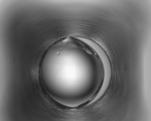 X0000088720434200706071623