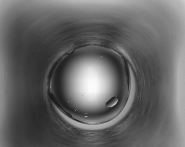 X0000088720435200706071623