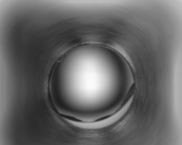 X0000088720437200706071623