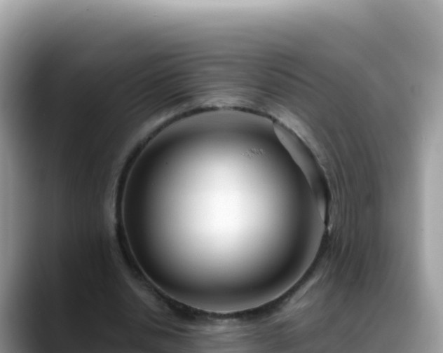 X0000088720438200706071623