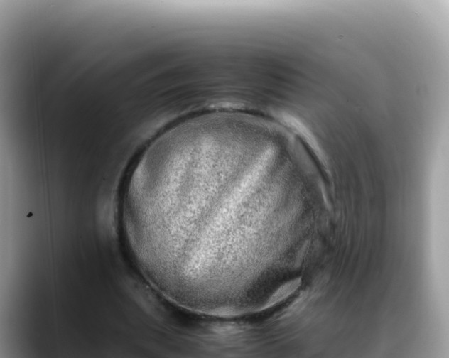 X0000088720439200706071623