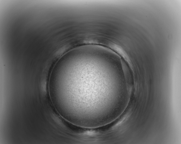 X0000088720441200706071623