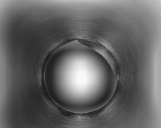X0000088720442200706071623