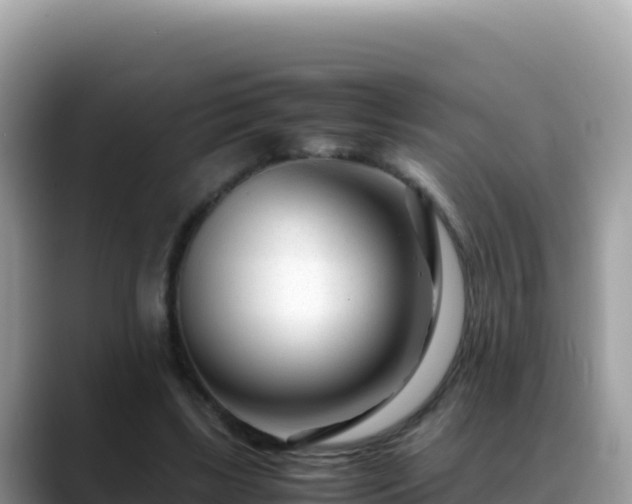 X0000088720443200706071623