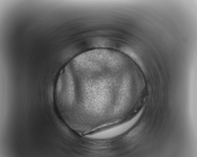 X0000088720445200706071623