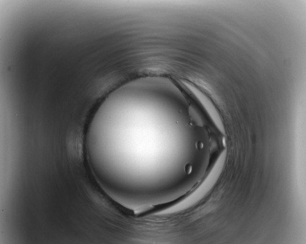 X0000088720446200706071623