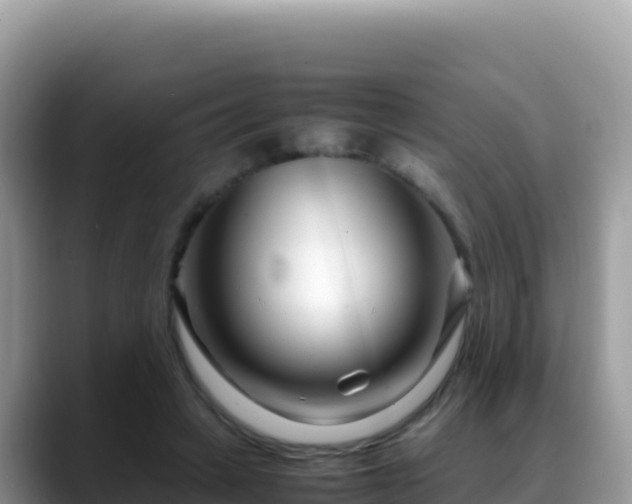 X0000088720449200706071623