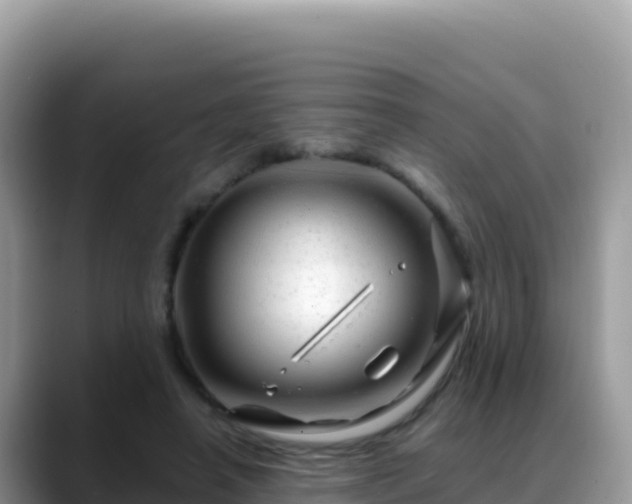 X0000088720450200706071623