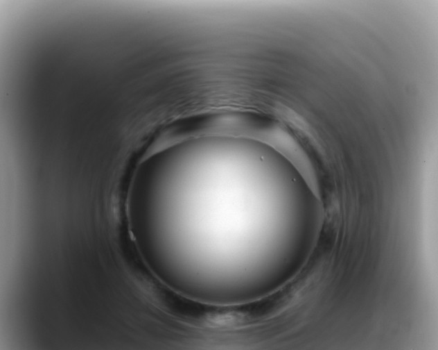 X0000088720452200706071623