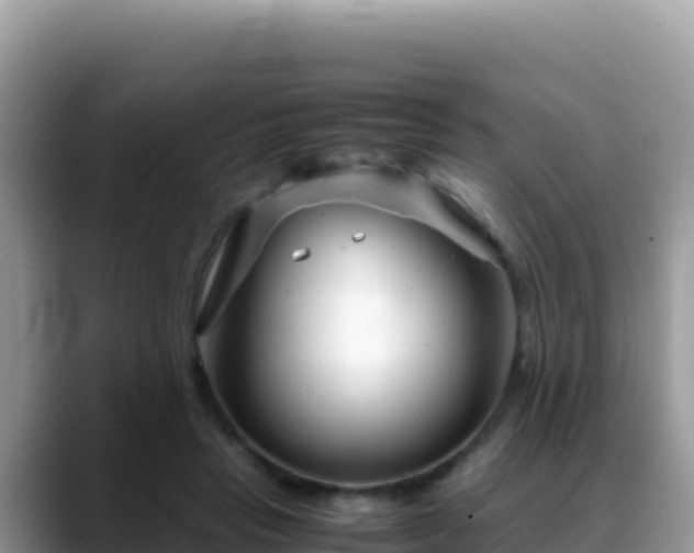 X0000088720453200706071623