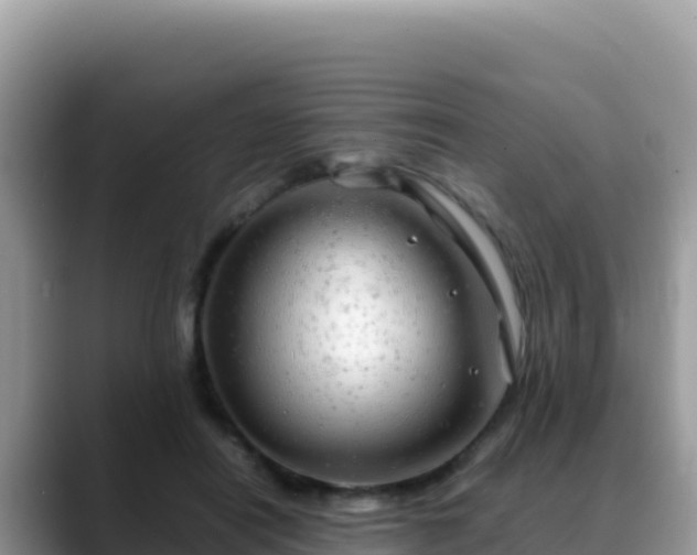 X0000088720454200706071623
