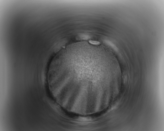 X0000088720455200706071623