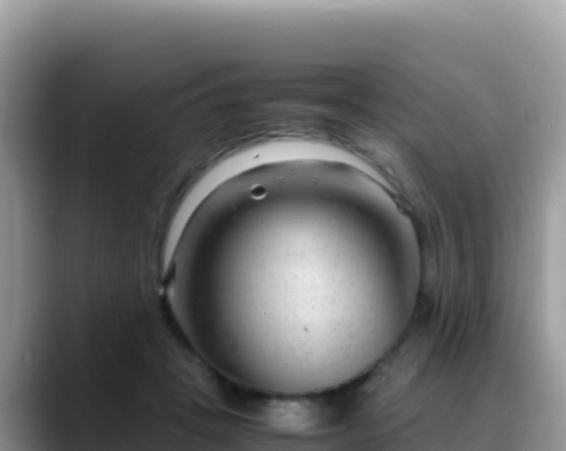 X0000088720457200706071623