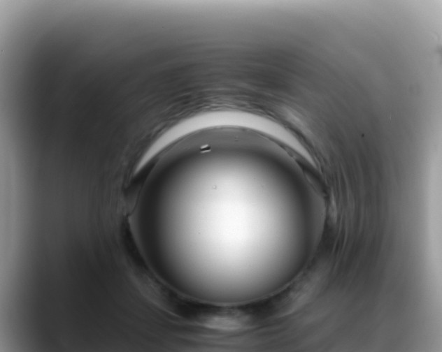 X0000088720459200706071623