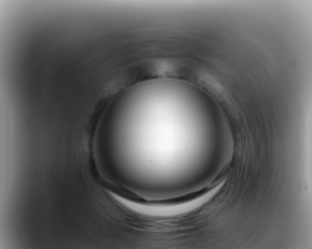 X0000088720461200706071623