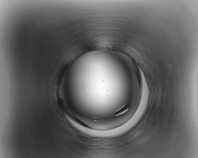 X0000088720462200706071623