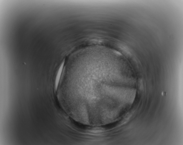 X0000088720463200706071623