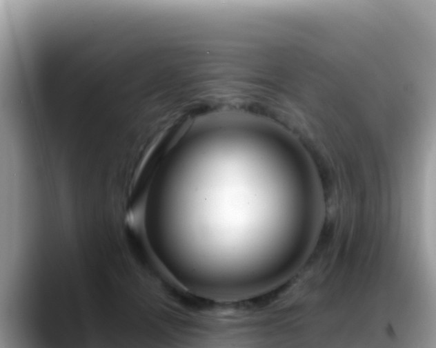 X0000088720464200706071623