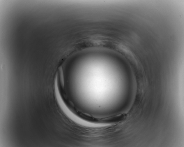 X0000088720465200706071623