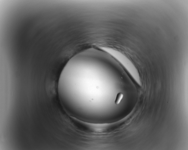X0000088720470200706071623