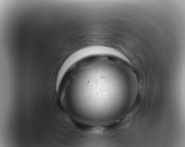 X0000088720474200706071623