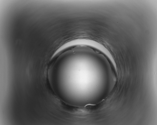 X0000088720475200706071623