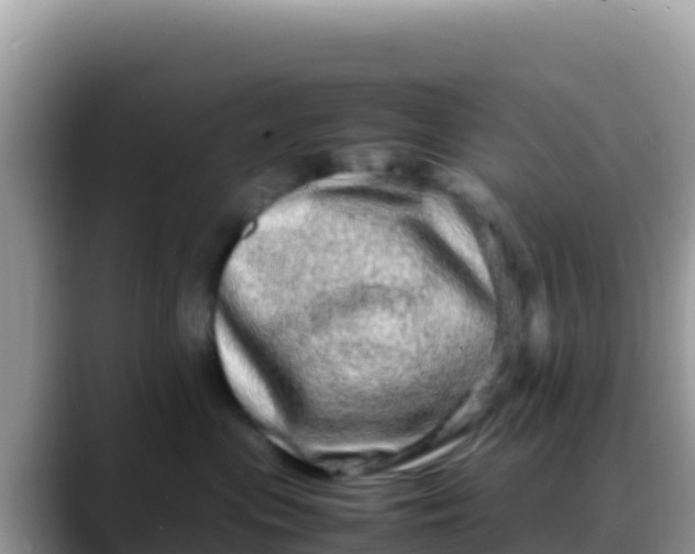 X0000088720477200706071623
