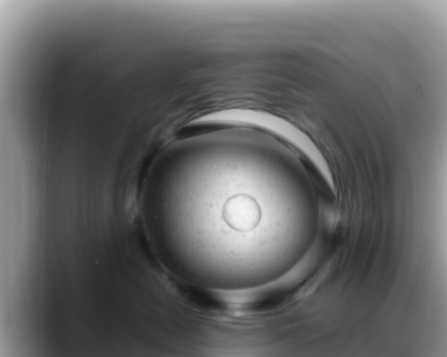 X0000088720478200706071623