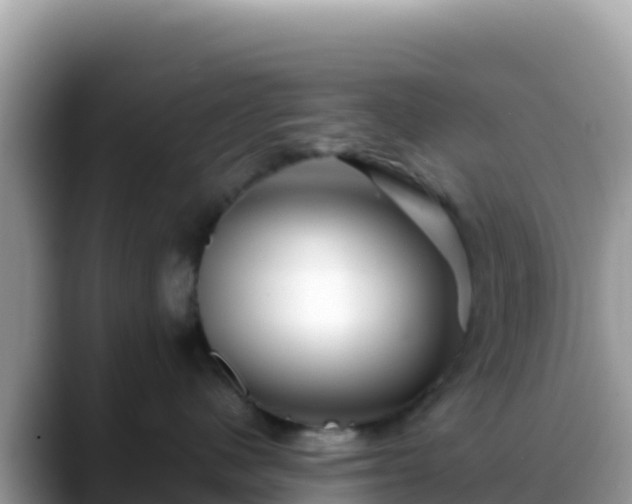 X0000088720480200706071623