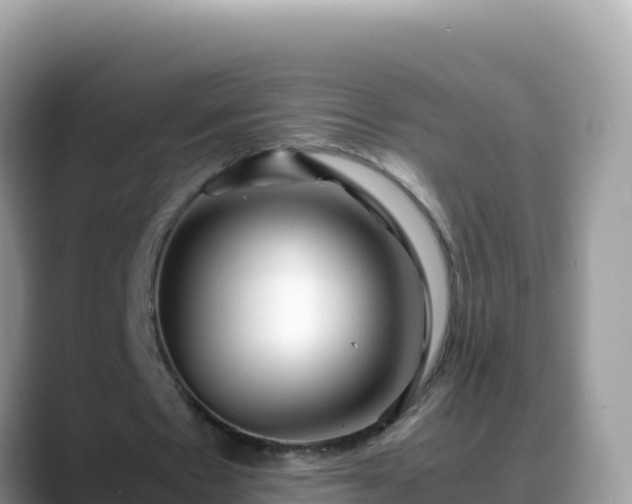 X0000088720481200706071623