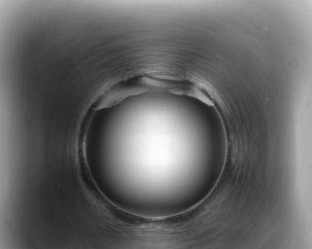 X0000088720482200706071623