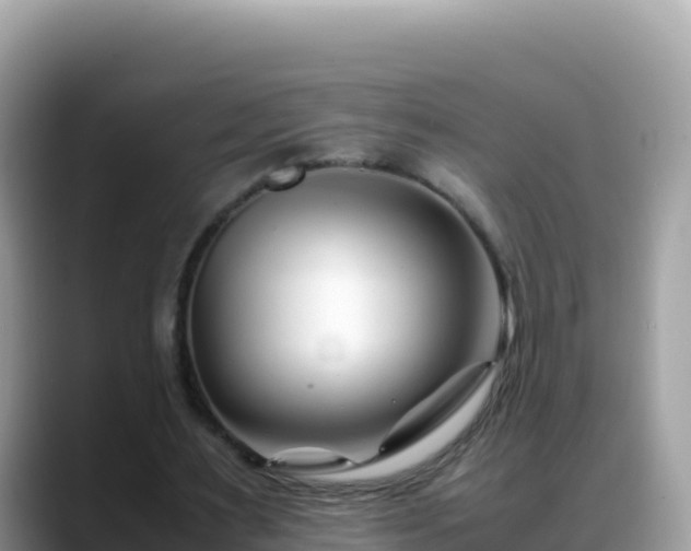 X0000088720483200706071623