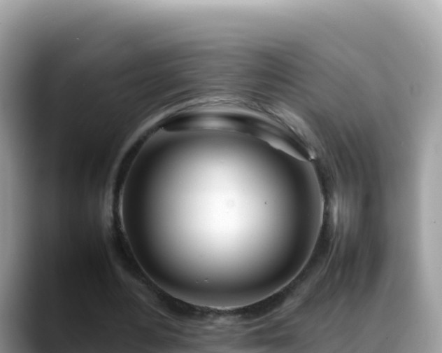 X0000088720484200706071623