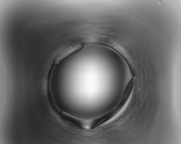 X0000088720485200706071623