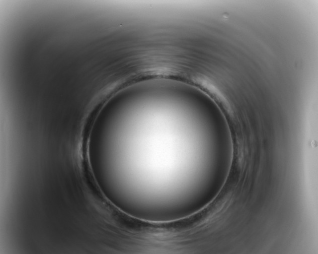 X0000088720486200706071623