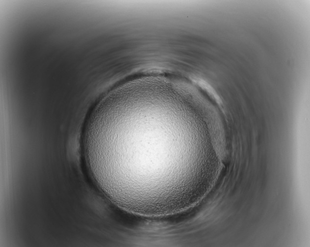 X0000088720487200706071623