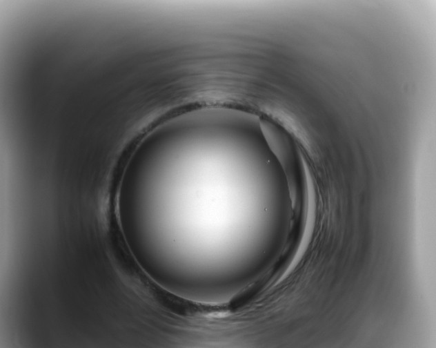 X0000088720488200706071623