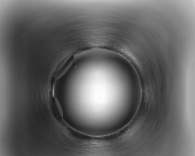 X0000088720490200706071623