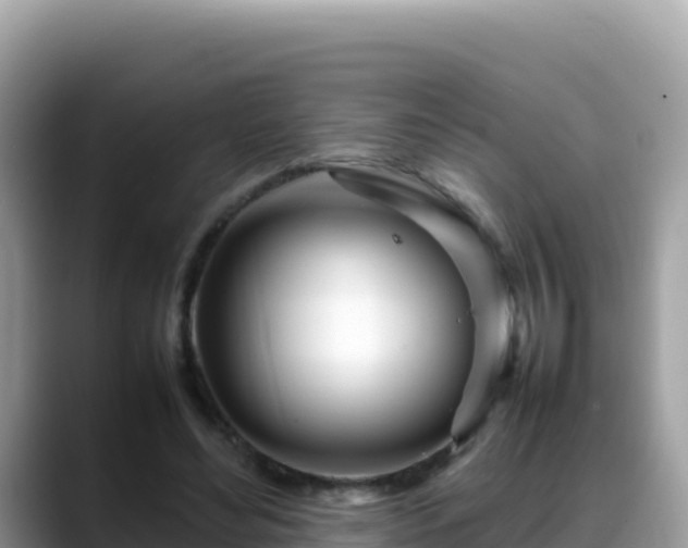 X0000088720492200706071623
