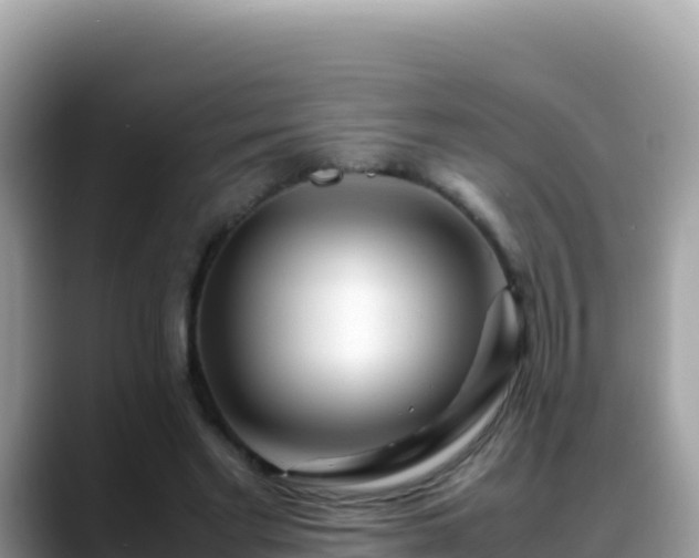 X0000088720493200706071623