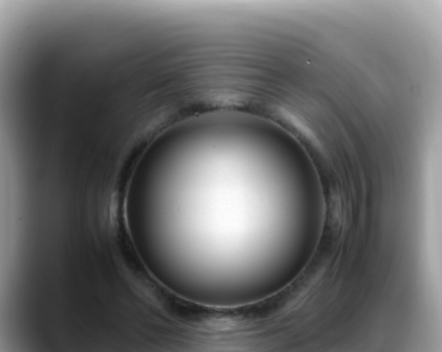 X0000088720494200706071623