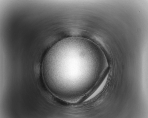 X0000088720495200706071623