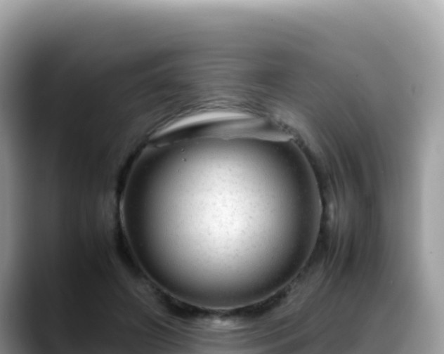 X0000088720498200706071623