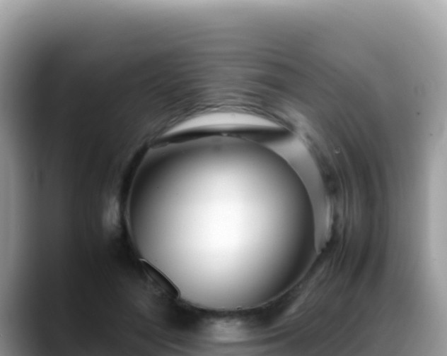 X0000088720500200706071622
