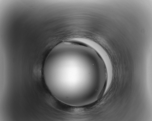 X0000088720501200706071622