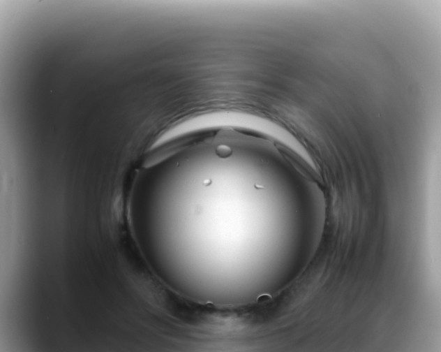 X0000088720502200706071622