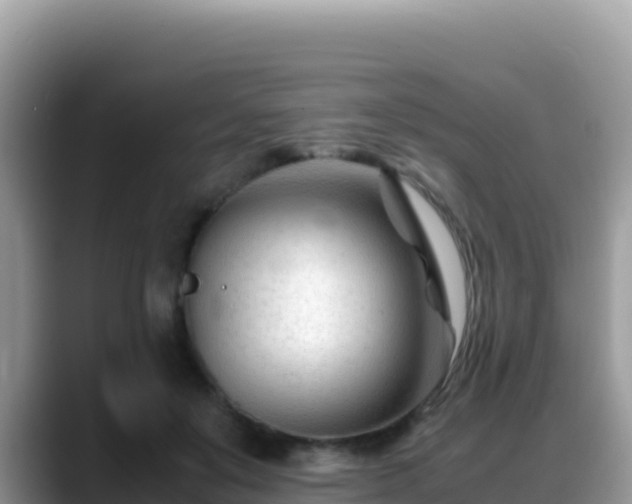 X0000088720503200706071622