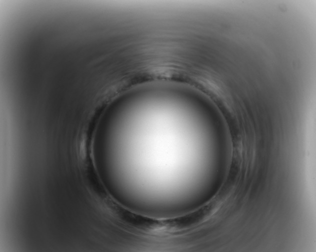 X0000088720504200706071622