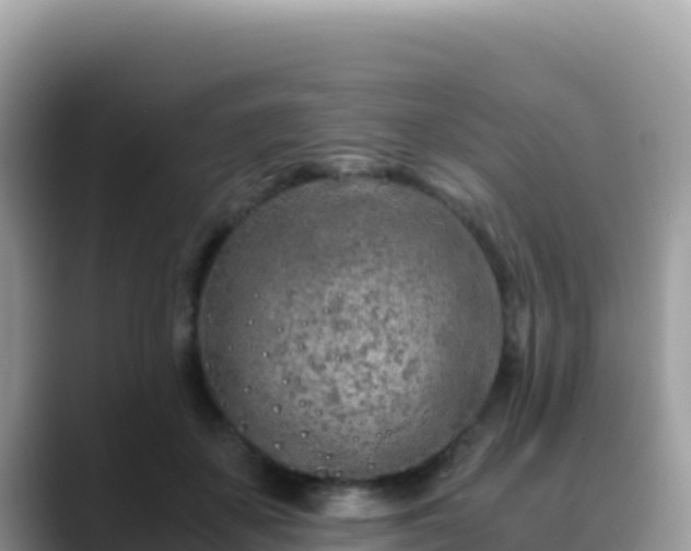 X0000088720507200706071622