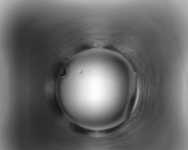 X0000088720511200706071622